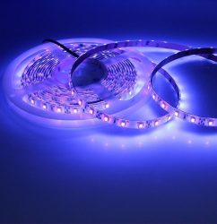 Waterproof UV 12V 5M 2835 SMD 300 LED Led Strip Lights