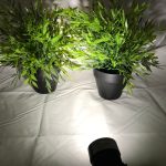 Waterproof 12V 5W COB LED Outdoor Garden Spotlights