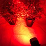 Waterproof 12V 5W COB LED Outdoor Garden Spotlights