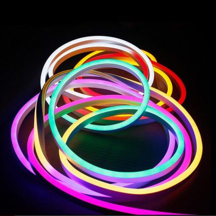 5M 2835 Led Neon Flex lights 12Vdc light strip flexible IP67